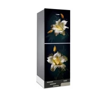 VISION Glass Door Refrigerator RE-252 Liter Golden Gardenia Bottom Mount