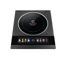 YT-300 - Gazi Smiss Infrared Cooker